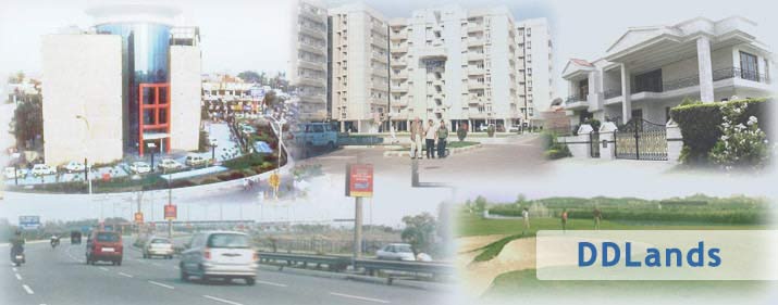 Real Estate Noida